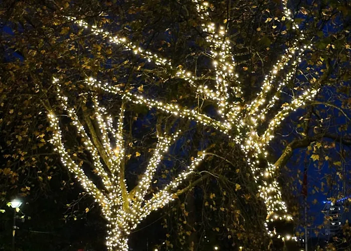 Comfortable Centre For Contractors And Couples - Centre Appartement *